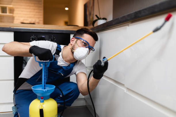Best Local Pest Control Services  in Port Huron, MI