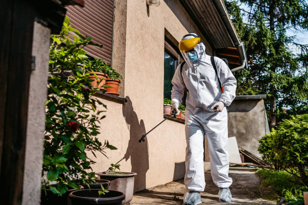 Best Best Pest Control Companies  in Port Huron, MI