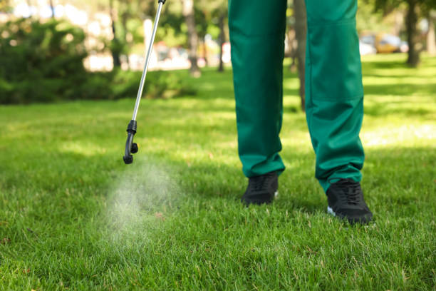 Best Insect Control  in Port Huron, MI