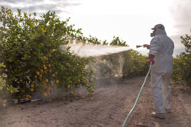 Pest Prevention Services in Port Huron, MI