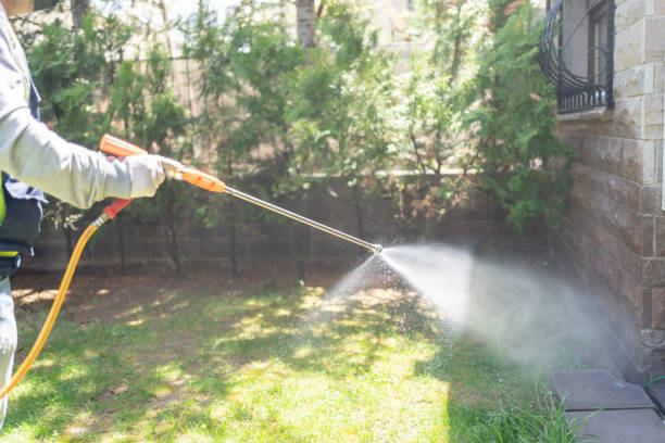 Best Affordable Pest Control Services  in Port Huron, MI