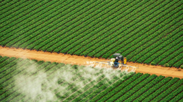 Best Pest Removal Services  in Port Huron, MI