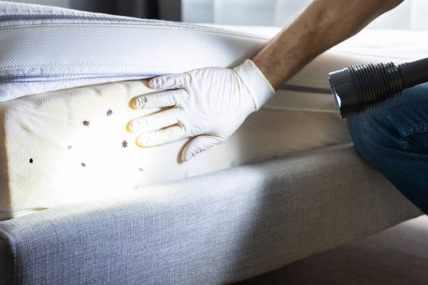 Best Pest Control Near Me  in Port Huron, MI