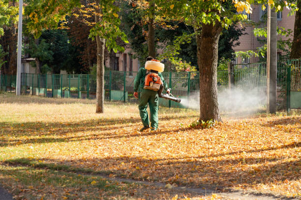 Best Wasp Removal Services  in Port Huron, MI