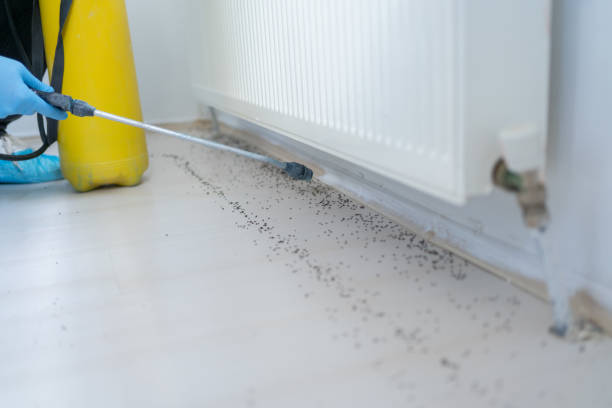 Best Pest Inspection Near Me  in Port Huron, MI