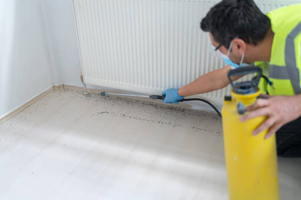 Best Emergency Pest Control  in Port Huron, MI