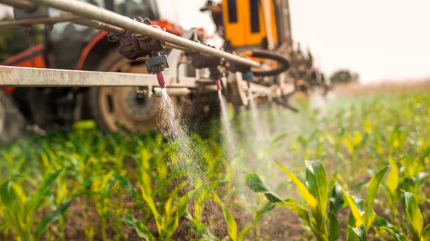 Best Mosquito Control Services  in Port Huron, MI